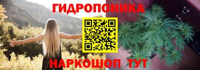 МДМА Заводоуковск
