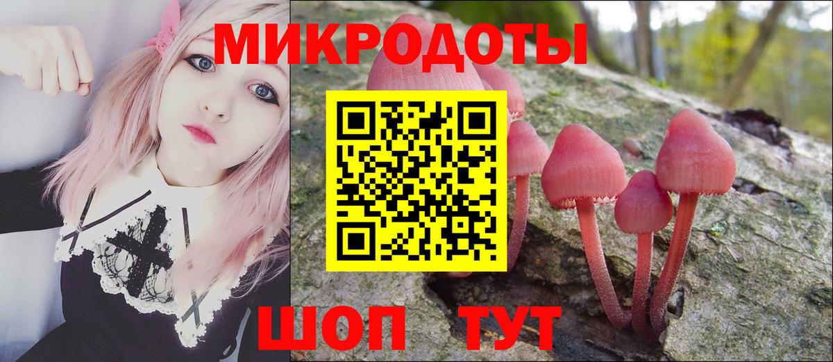 как найти   Псилоцибиновые грибы MAGIC MUSHROOMS  Галлюциногенные грибы Psilocybe  Вход с VPN  Лениногорск 