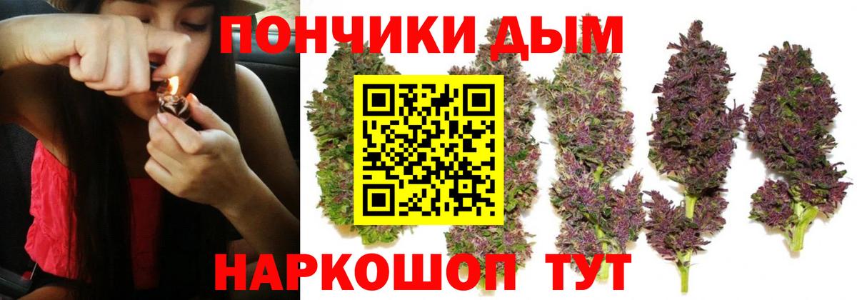 Шишки марихуана семена  Вход с VPN  Лениногорск  МАРИХУАНА AK-47  Каннабис гибрид 